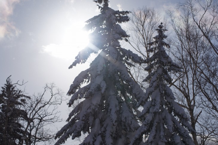 FURANO Beautiful Day.