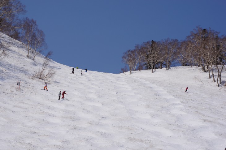 札幌国際 春コブ･パーク･ATOMIC ALL STAR CAMP アトミックオールスターキャンプ