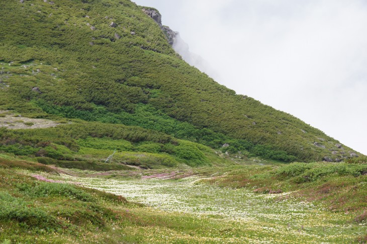 層雲峡黒岳ロープウェイ みんなで目指せ！神々の遊ぶ庭。