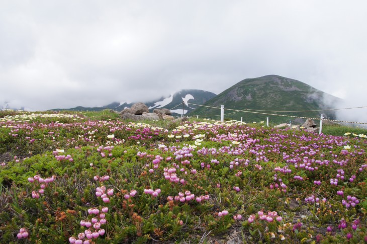 層雲峡黒岳ロープウェイ みんなで目指せ！神々の遊ぶ庭。