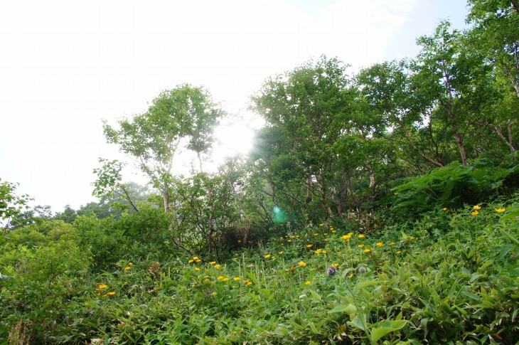 層雲峡黒岳ロープウェイ みんなで目指せ！神々の遊ぶ庭。