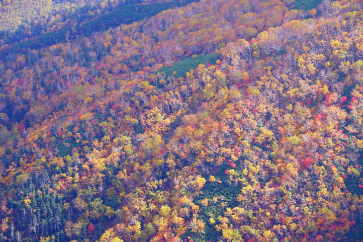 層雲峡黒岳ロープウェイ 秋本番紅葉の山肌に初雪の訪れ。