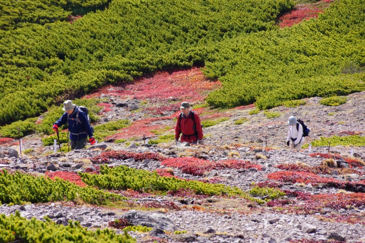 層雲峡黒岳ロープウェイ 秋本番紅葉の山肌に初雪の訪れ。