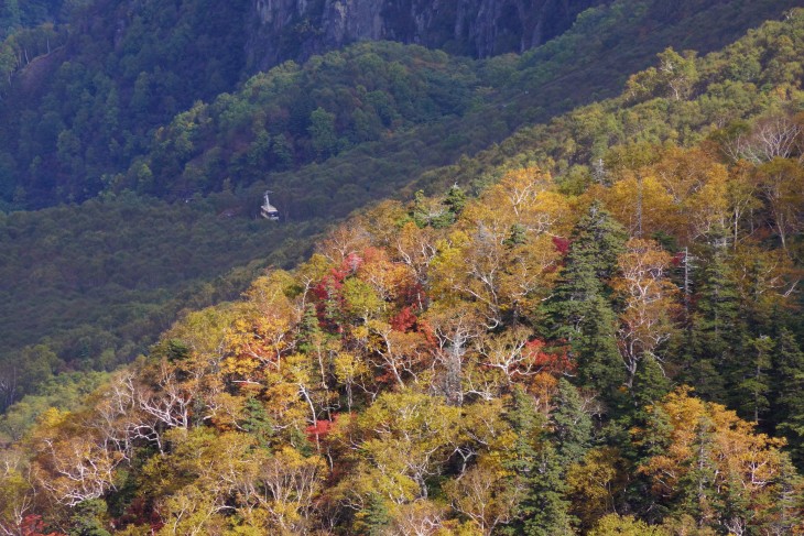 層雲峡黒岳ロープウェイ 秋本番紅葉の山肌に初雪の訪れ。