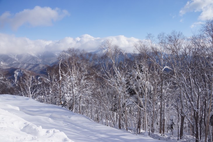 層雲峡黒岳 ヤミツキになるパウダースノー