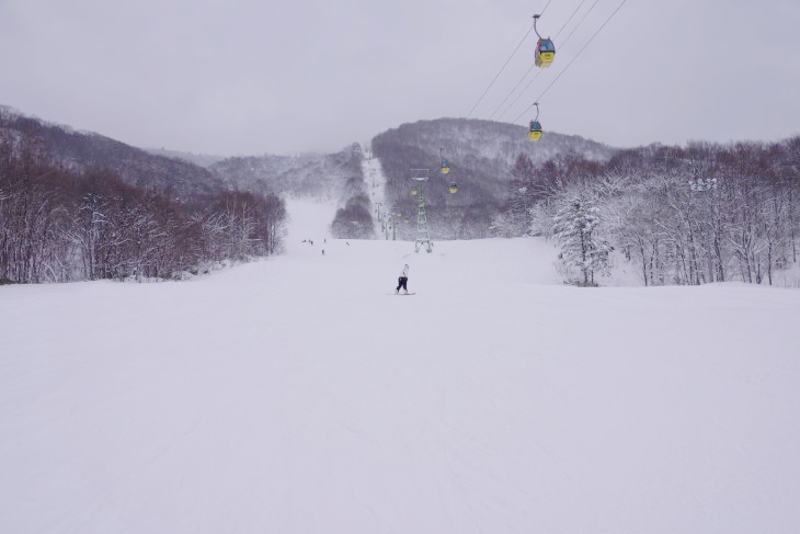 カムイスキーリンクス 粉雪・新雪・深雪たっぷり！