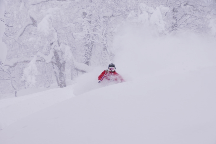 カムイスキーリンクス 粉雪・新雪・深雪たっぷり！