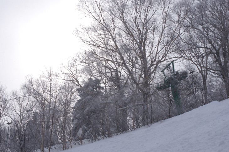 サッポロテイネ 積雪200cm！コンディション上々♪