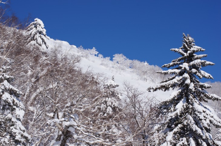 富良野 木村公宣スキースクールレポート！