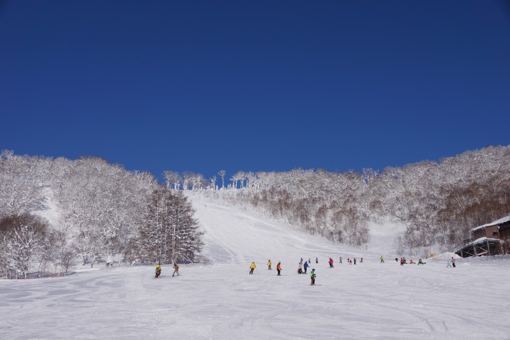 ルスツリゾート 青空＋粉雪＝最高のコンディション！