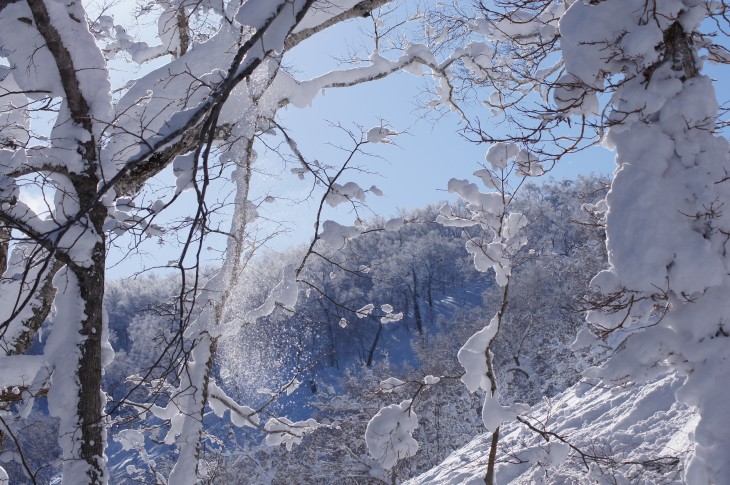 ルスツリゾート 青空＋粉雪＝最高のコンディション！