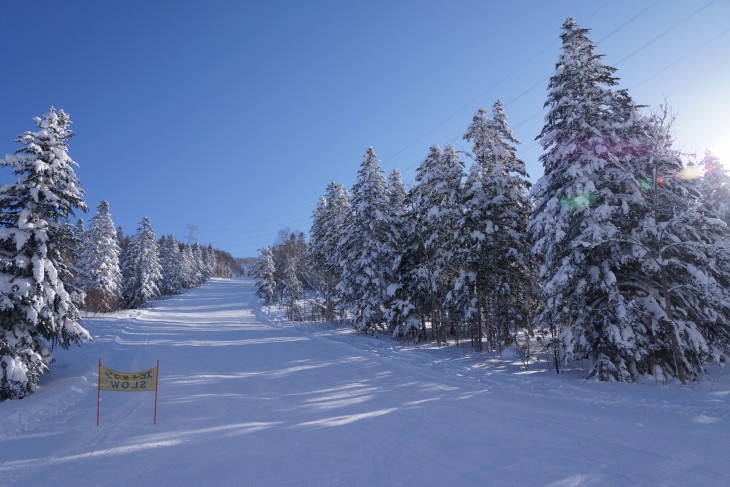 ルスツリゾート 青空＋粉雪＝最高のコンディション！