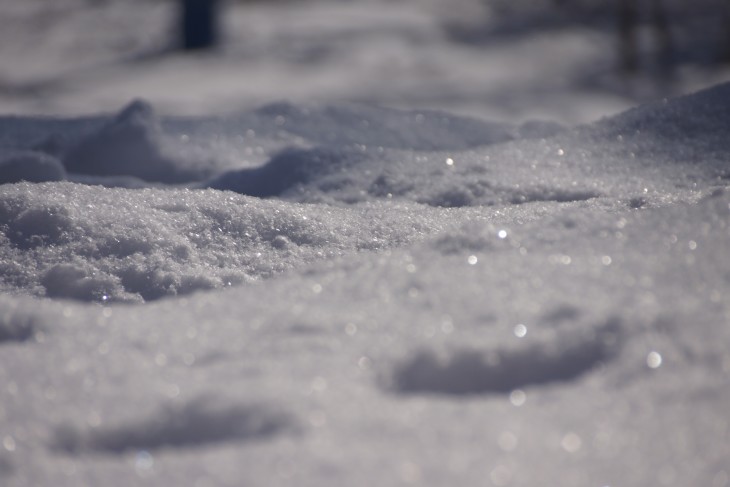 ルスツリゾート 青空＋粉雪＝最高のコンディション！