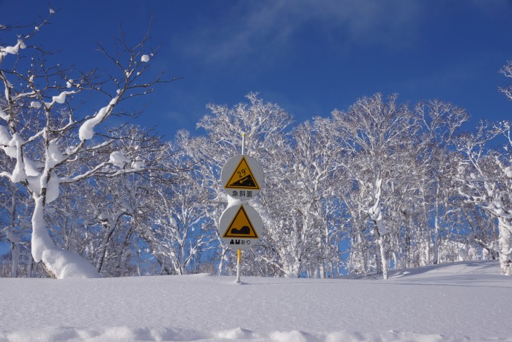 ルスツリゾート 青空＋粉雪＝最高のコンディション！