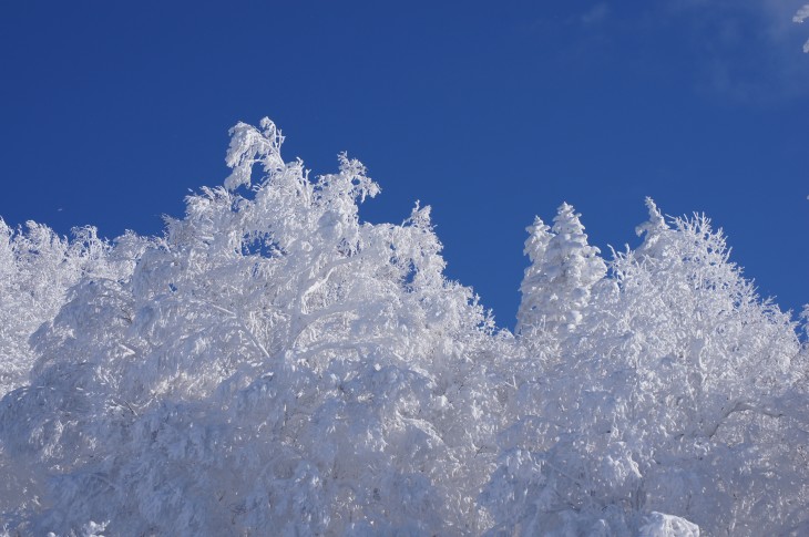 カムイスキーリンクス 青と白。「雪の教室」＆パウダー！