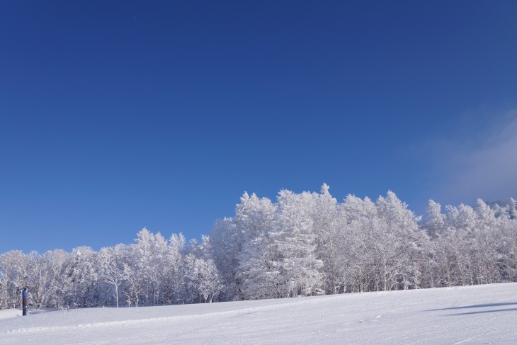 カムイスキーリンクス 青と白。「雪の教室」＆パウダー！