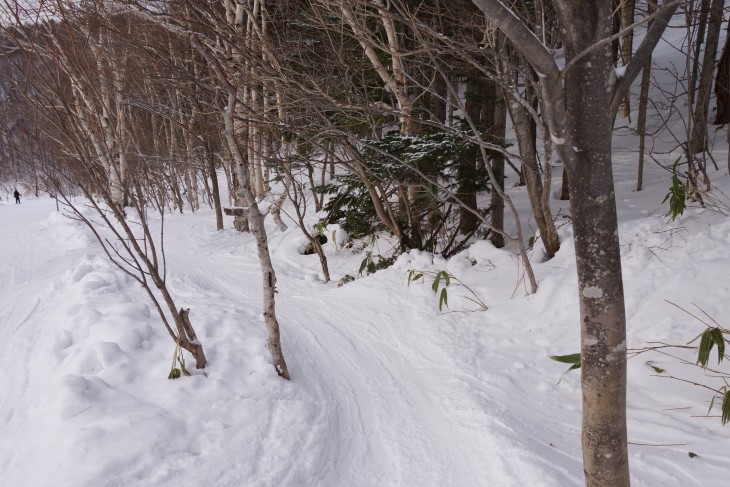 札幌藻岩山 元気な子供たちで大賑わい☆