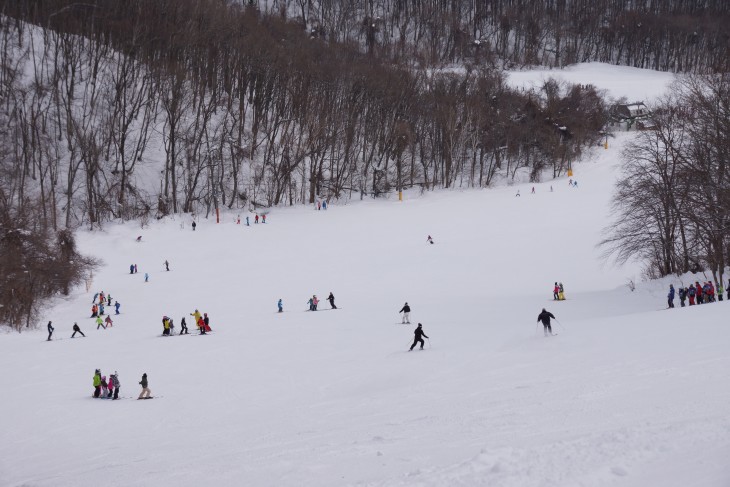 札幌藻岩山 元気な子供たちで大賑わい☆