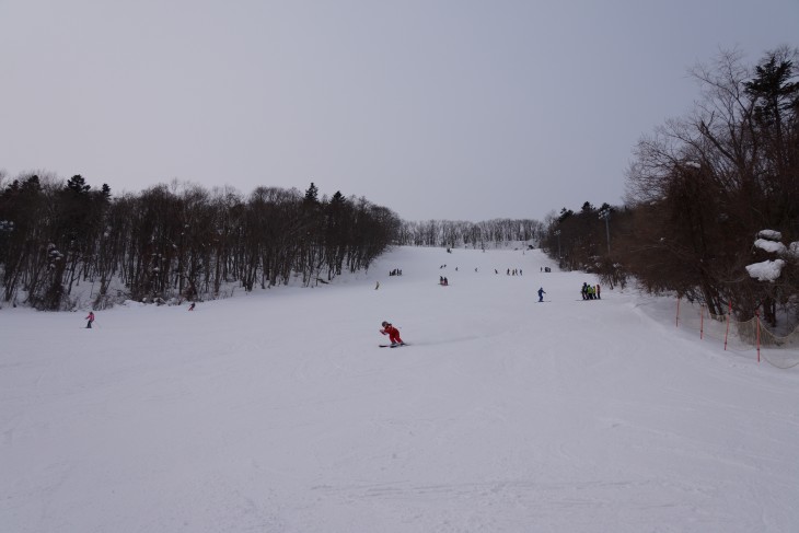 札幌藻岩山 元気な子供たちで大賑わい☆