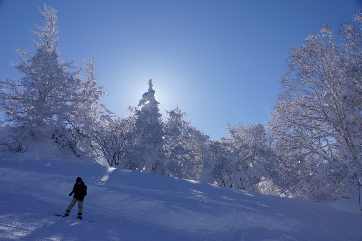 札幌国際 降雪後のピーカン＆パウダースノー☆