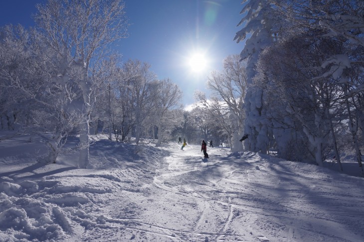 札幌国際 降雪後のピーカン＆パウダースノー☆