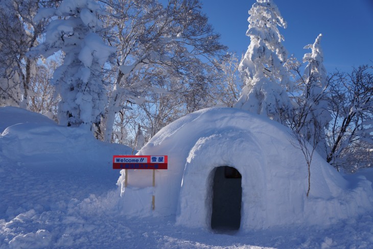 札幌国際 降雪後のピーカン＆パウダースノー☆