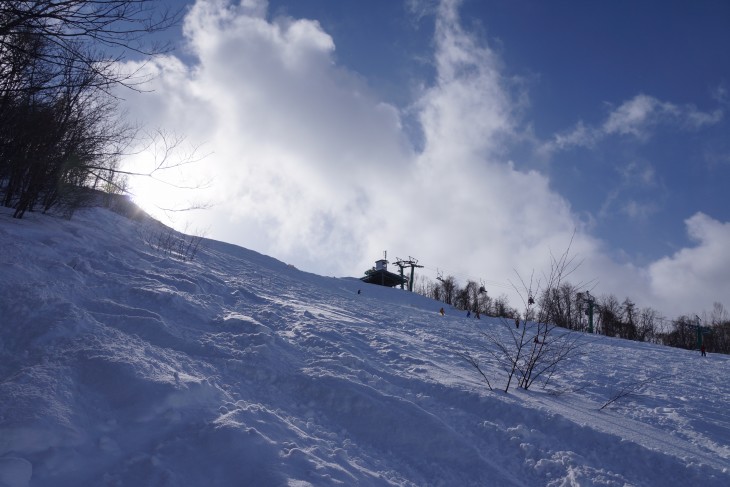 サッポロテイネ ふわふわ粉雪で全面パウダー