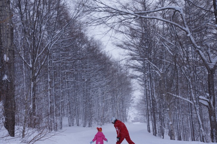 サッポロテイネ ふわふわ粉雪で全面パウダー