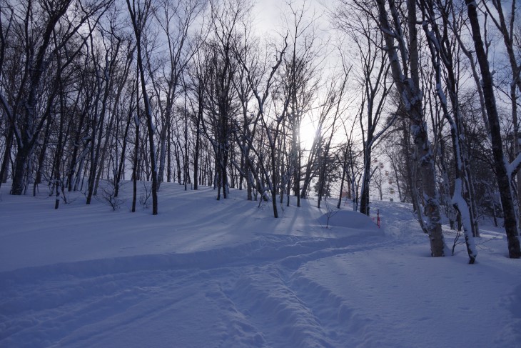 サッポロテイネ ふわふわ粉雪で全面パウダー