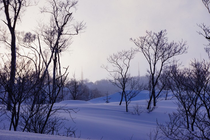 サッポロテイネ ふわふわ粉雪で全面パウダー