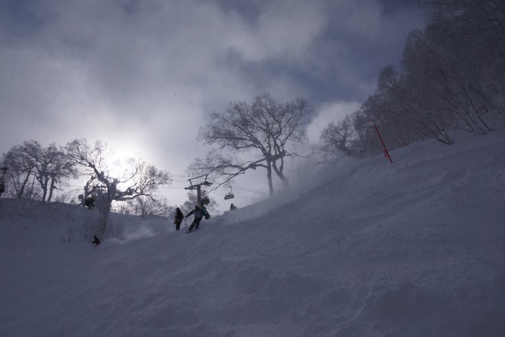 サッポロテイネ ふわふわ粉雪で全面パウダー