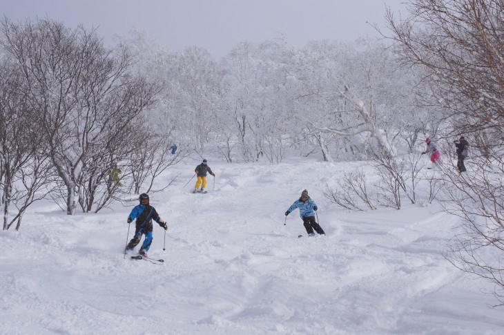 キロロリゾート KEI-SKIスーパースキーデイ