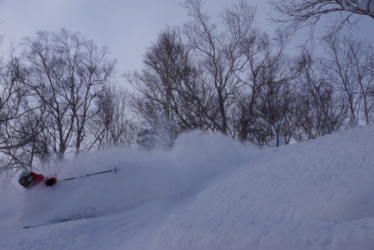 サッポロテイネ 大雪から一転、晴天パウダーに