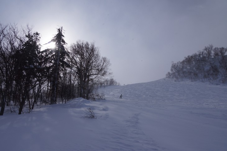 サッポロテイネ 大雪から一転、晴天パウダーに