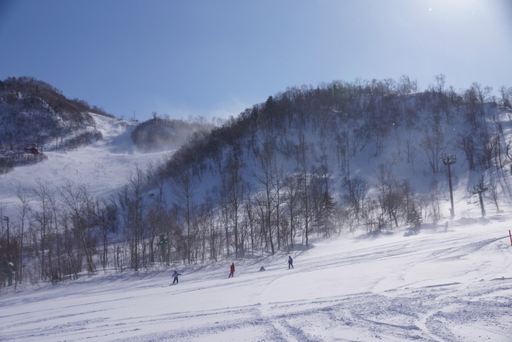 サッポロテイネ 大雪から一転、晴天パウダーに