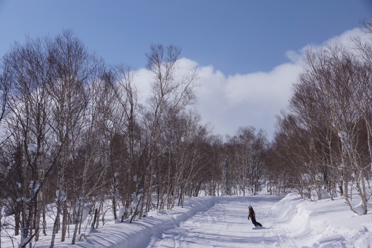 サッポロテイネ 大雪から一転、晴天パウダーに