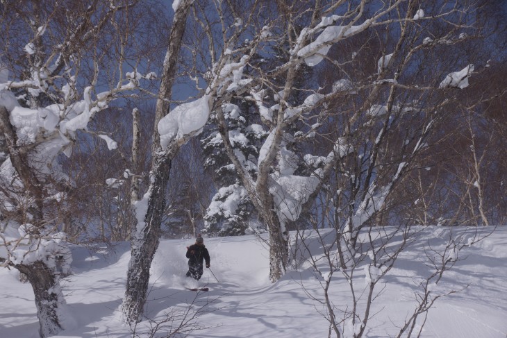 サッポロテイネ 大雪から一転、晴天パウダーに