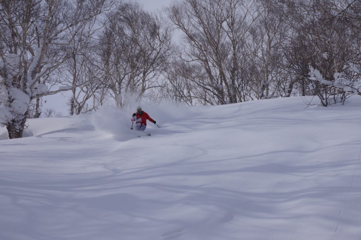 サッポロテイネ 大雪から一転、晴天パウダーに