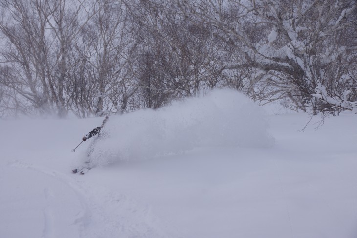 サッポロテイネ 大雪から一転、晴天パウダーに