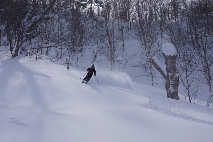 サッポロテイネ 大雪から一転、晴天パウダーに