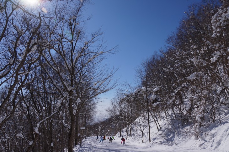 札幌藻岩山 晴天の下、絶好のスキー日和