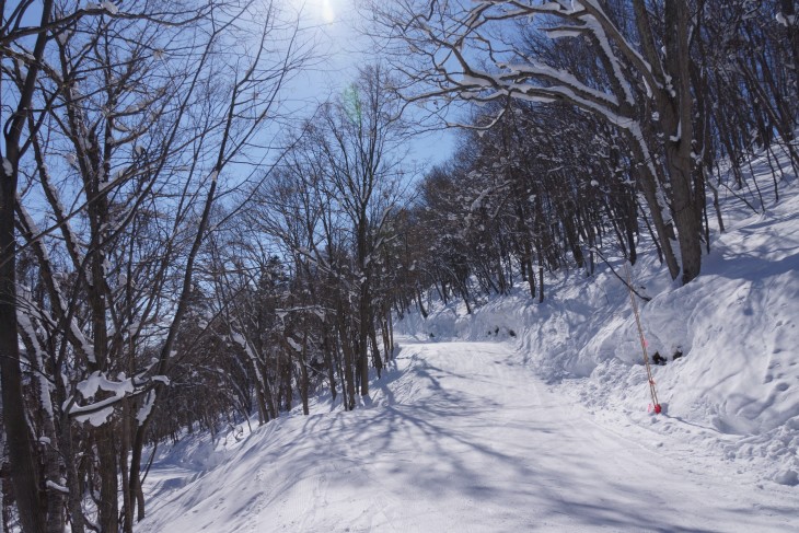 札幌藻岩山 晴天の下、絶好のスキー日和