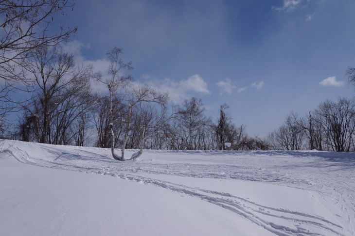 札幌藻岩山 晴天の下、絶好のスキー日和