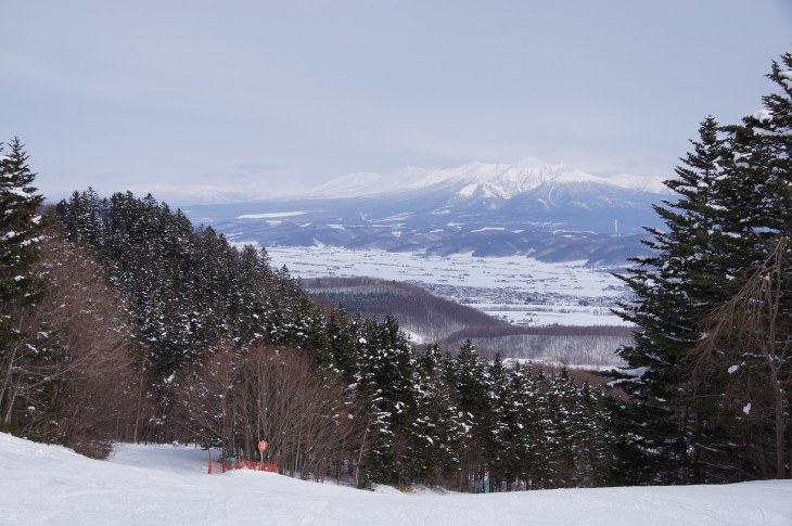 富良野 大パノラマを眼前にダウンヒル