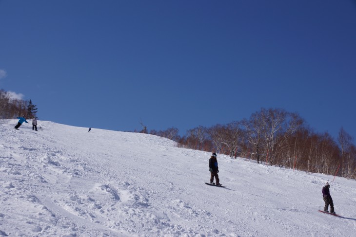 札幌国際 積雪470cm！まだまだ雪質良好！