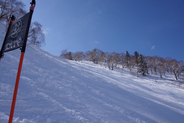 札幌国際 積雪470cm！まだまだ雪質良好！