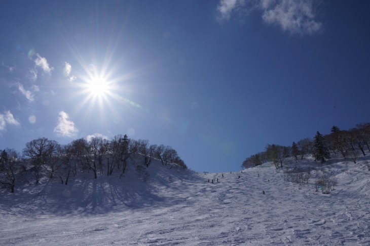 札幌国際 積雪470cm！まだまだ雪質良好！