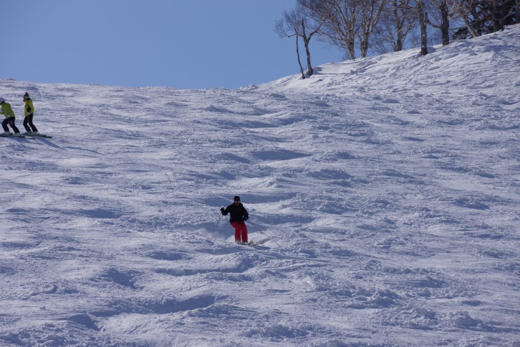 札幌国際 積雪470cm！まだまだ雪質良好！