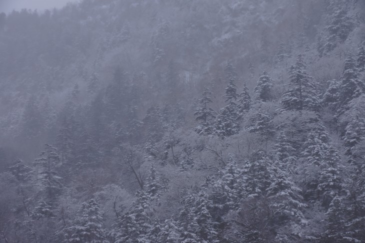 層雲峡黒岳ロープウェイスキー場