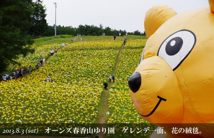 小樽オーンズ春香山ゆり園 ゲレンデ一面 ゆりの花の絨毯に 北海道雪山情報 Snowfreaks